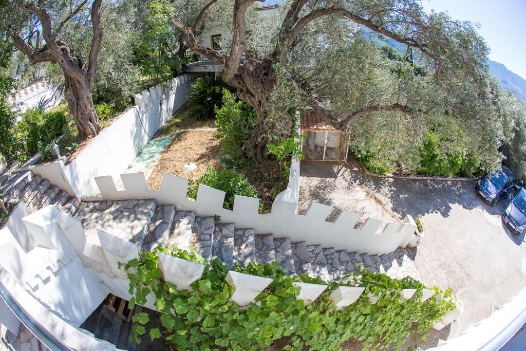 The Turtles Garden Villa Becici  Exterior photo